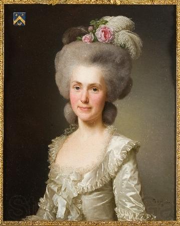 Alexandre Roslin Portrait of Marie Jeanne Jeanne Puissant Germany oil painting art
